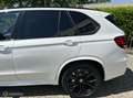 BMW X5 xDrive30d Extra High Executive, Opties, Opties!! Wit - thumbnail 4