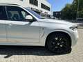 BMW X5 xDrive30d Extra High Executive, Opties, Opties!! White - thumbnail 10