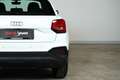 Audi Q2 30 TFSI | TRAUM-SUV | LED | Assistenz | Kamera Weiß - thumbnail 12