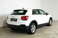 Audi Q2 30 TFSI | TRAUM-SUV | LED | Assistenz | Kamera Weiß - thumbnail 4