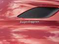 Aston Martin DBS Superleggera Voll - Steinschlag foliert Červená - thumbnail 22