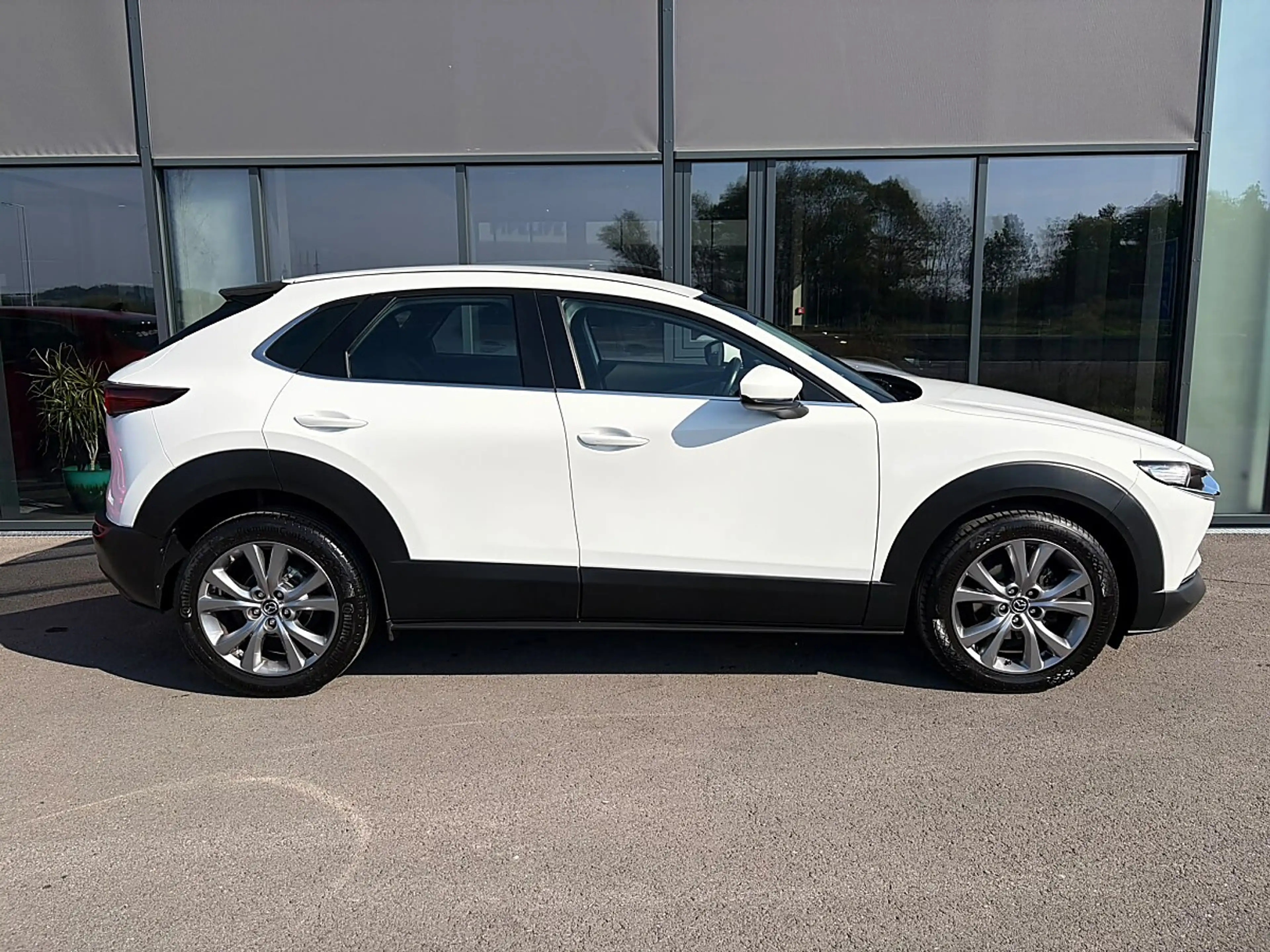 Mazda CX-30 G122 Comfort+ Aut. / ACC / Winterpaket — photo 6