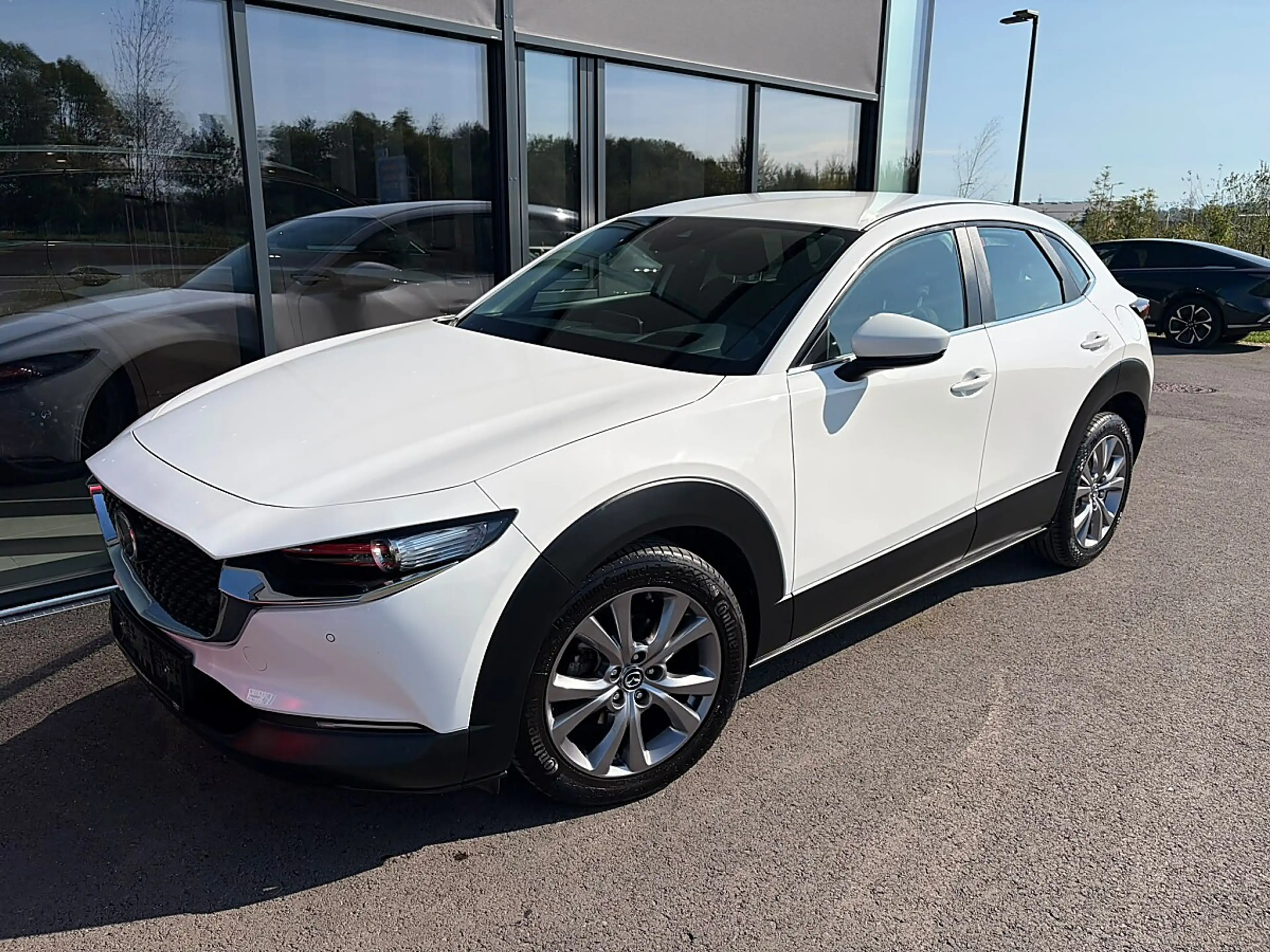 Mazda CX-30 G122 Comfort+ Aut. / ACC / Winterpaket — photo 2