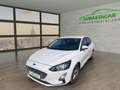 Ford Focus 1.5Ecoblue Trend+ 120 Blanco - thumbnail 1