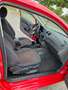 SEAT Ibiza Seat Ibiza STEUERKETTE NEU - thumbnail 7
