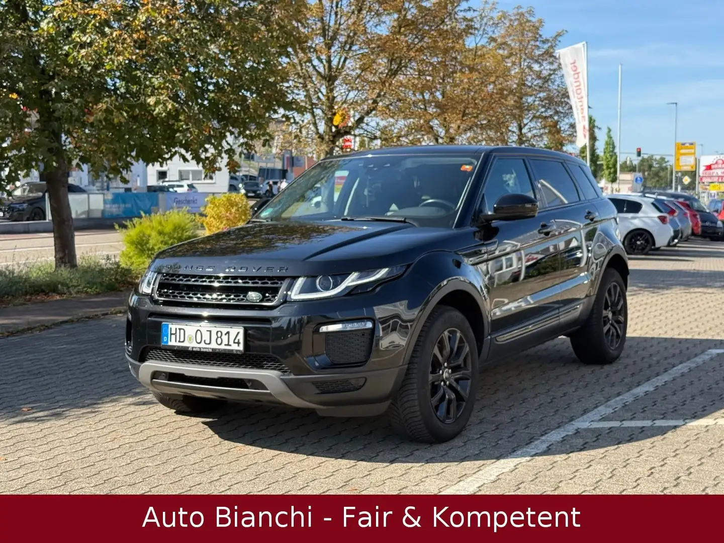 Land Rover Range Rover Evoque 2.0d *Black Pack *Cam *Pano Schwarz - 1