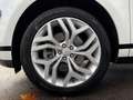 Land Rover Range Rover Evoque RR Evoque P200 R-DYNAMIC SE AWD Automatik ACC Weiß - thumbnail 9