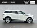 Land Rover Range Rover Evoque RR Evoque P200 R-DYNAMIC SE AWD Automatik ACC Weiß - thumbnail 6