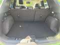 Ford Kuga Active X 2,5L FHEV 190PS A AWD Grün - thumbnail 13