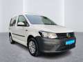 Volkswagen Caddy 1.0TSI AHK Klima Einparkhilfe Navi ZVmitFB Weiß - thumbnail 5