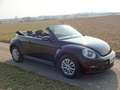 Volkswagen Beetle Cabrio elektrisches Verdeck Winterpaket Schwarz - thumbnail 7