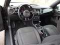 Volkswagen Beetle Cabrio elektrisches Verdeck Winterpaket Schwarz - thumbnail 10