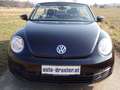 Volkswagen Beetle Cabrio elektrisches Verdeck Winterpaket Schwarz - thumbnail 2