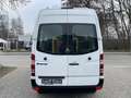 Mercedes-Benz Sprinter 311 CDI H2L2 *Klima*WEBASTO*Rampe* Білий - thumbnail 6