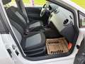 SEAT Ibiza Ibiza 1,0 Style ✅ PDC, Tagfahrlicht, MFL ✅ Weiß - thumbnail 10
