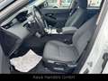 Land Rover Range Rover Evoque Autom/LED/HeadUp/Kamera/Navi Weiß - thumbnail 12