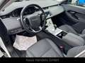 Land Rover Range Rover Evoque Autom/LED/HeadUp/Kamera/Navi Weiß - thumbnail 13