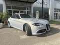 Alfa Romeo Giulia Giulia 2.0 Turbo 280 CV AT8 AWD Q4 Sprint Gris - thumbnail 4