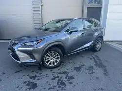Lexus NX 300H 2WD Business 197cv