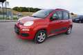 Fiat Panda 1.2 Easy Rot - thumbnail 2