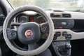 Fiat Panda 1.2 Easy Rot - thumbnail 18
