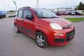 Fiat Panda 1.2 Easy Rot - thumbnail 8