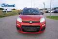 Fiat Panda 1.2 Easy Rot - thumbnail 1