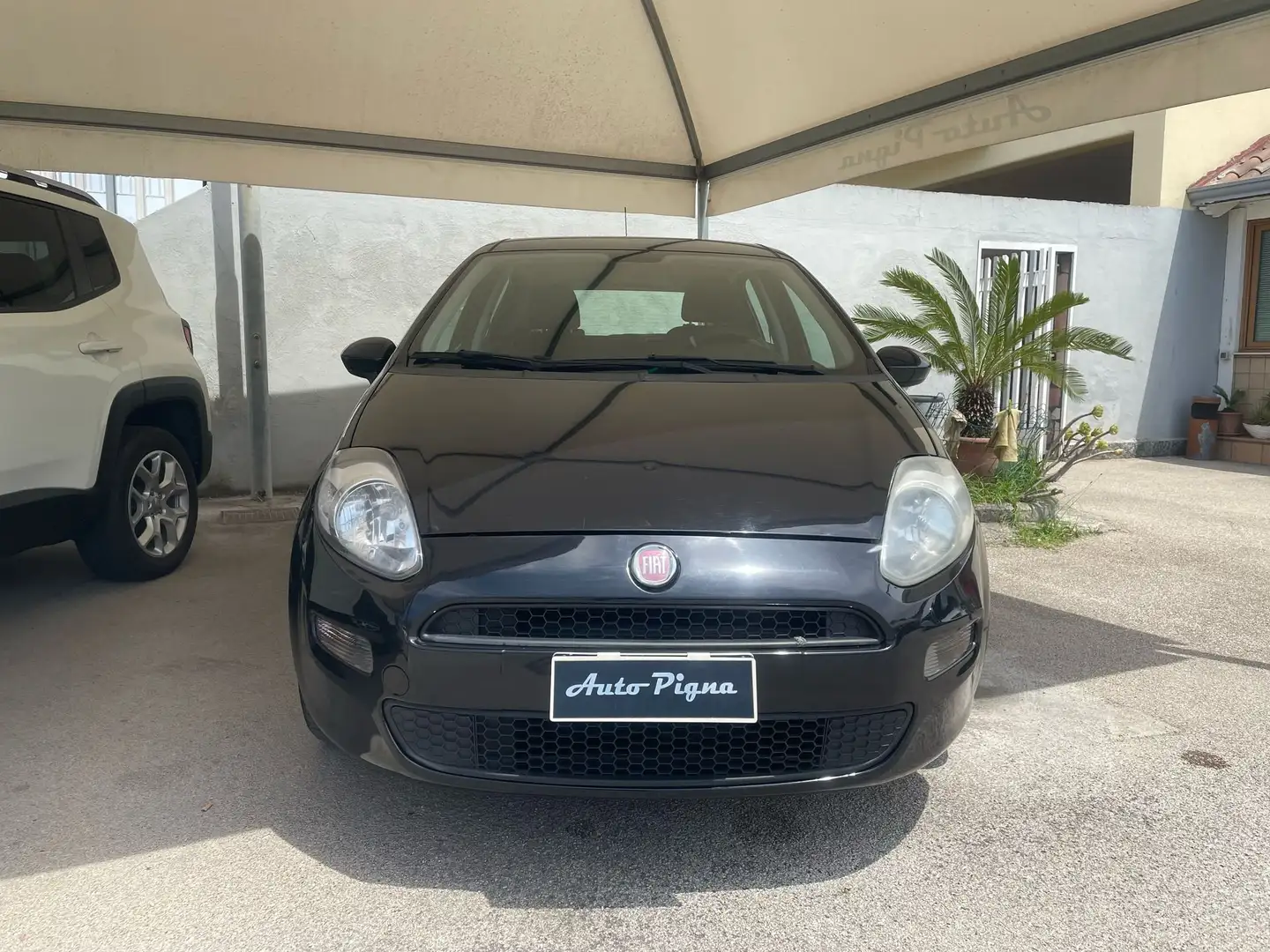Fiat Punto Punto 5p 1.2 Street E6 Negro - 2