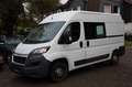 Peugeot Boxer Kasten Hochraum 333 L2H2 Pro BlueHDi 130 Weiß - thumbnail 1