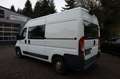 Peugeot Boxer Kasten Hochraum 333 L2H2 Pro BlueHDi 130 Weiß - thumbnail 4