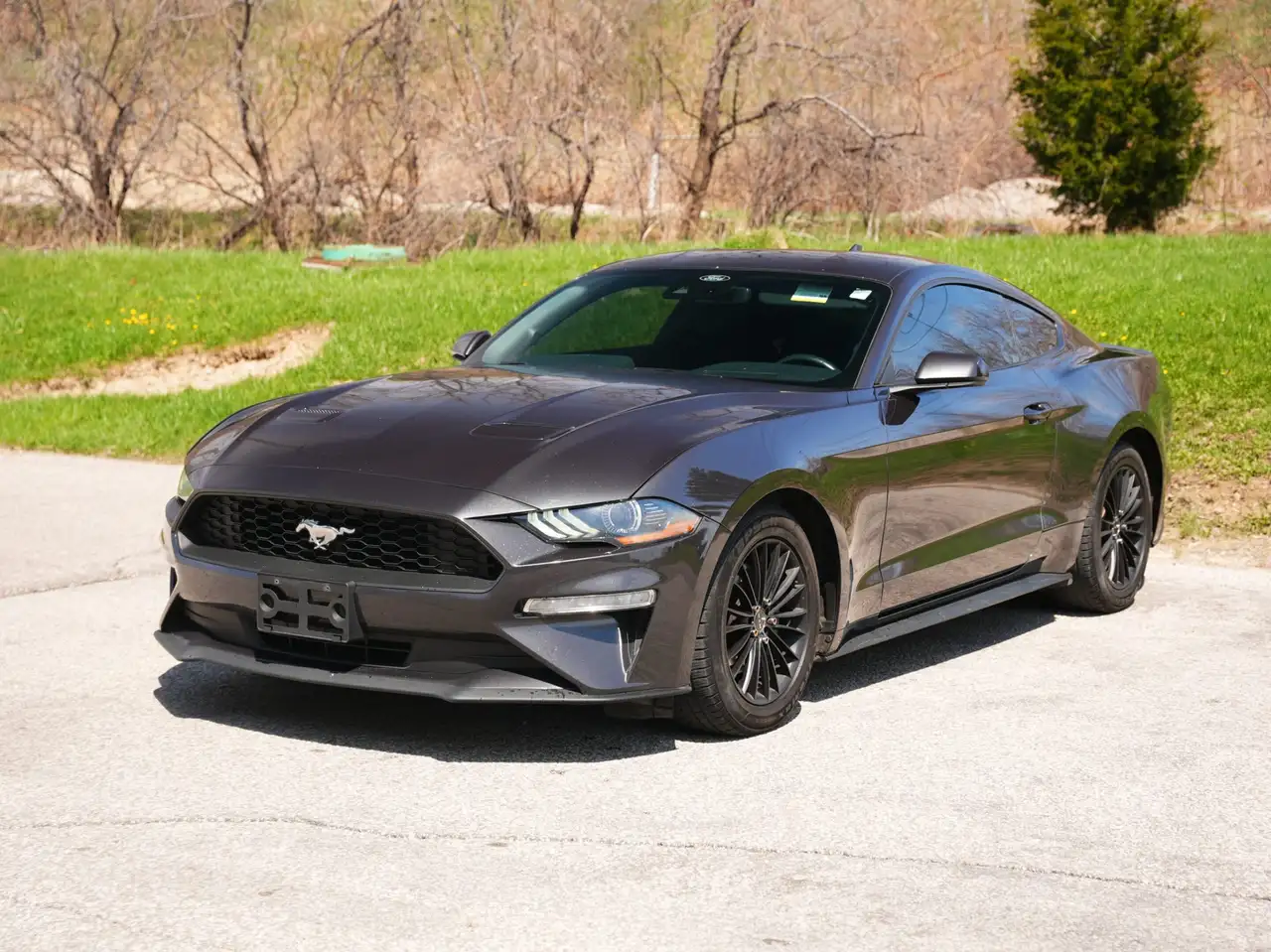 Ford Mustang снимка Ford Mustang