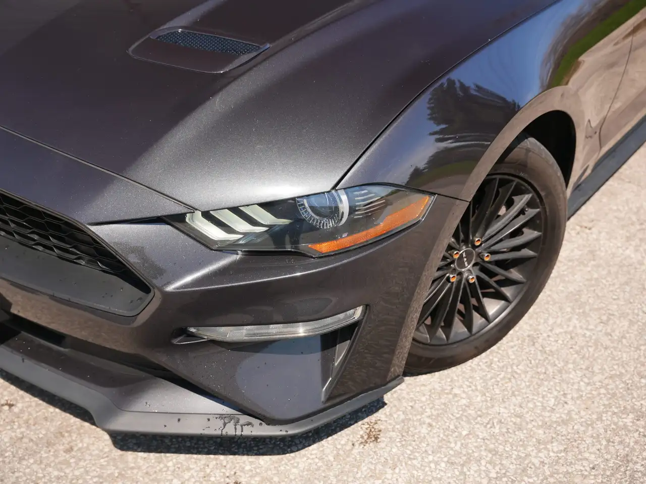 Ford Mustang снимка Ford Mustang