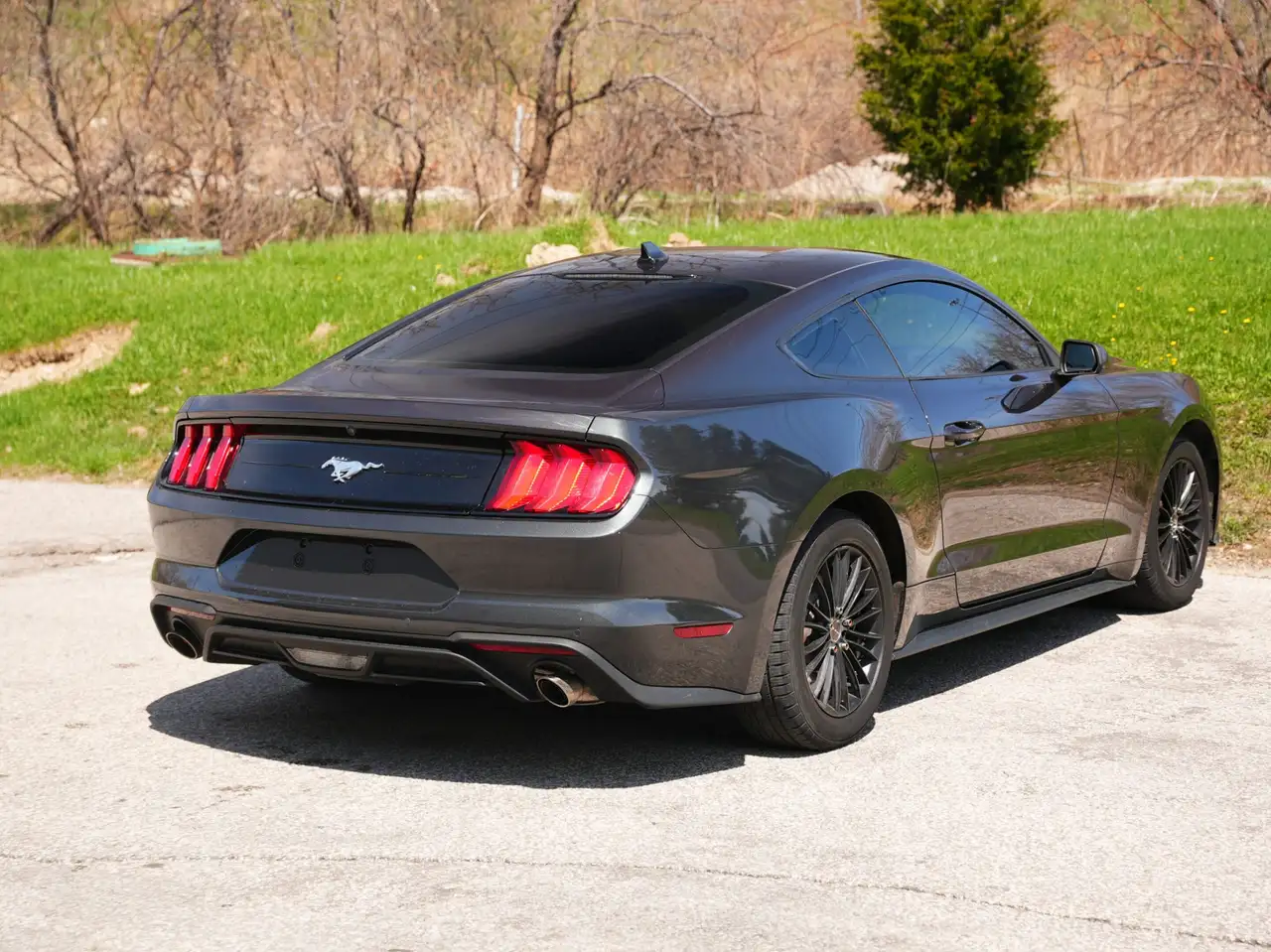 Ford Mustang снимка Ford Mustang