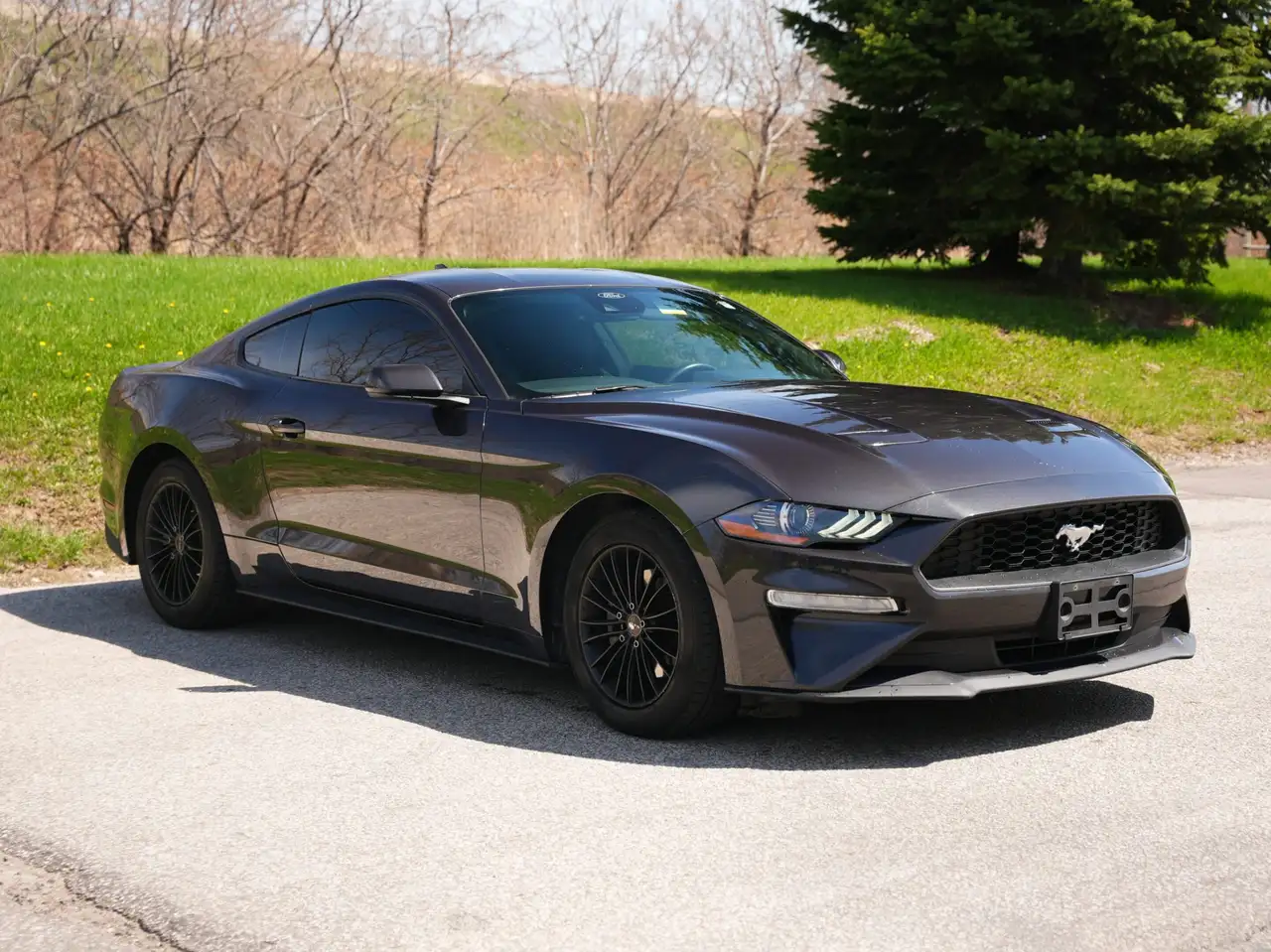 Ford Mustang снимка Ford Mustang