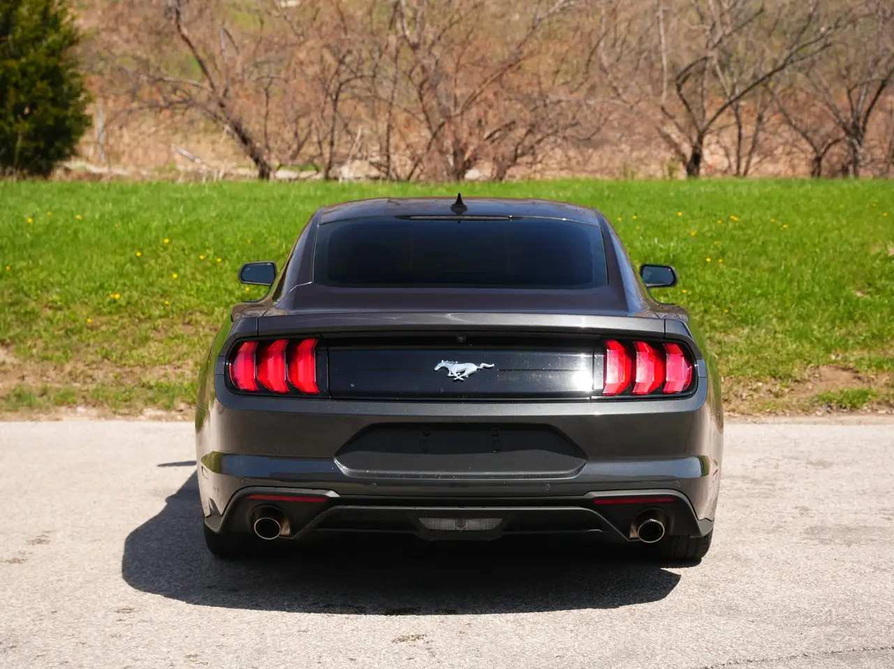 Ford Mustang снимка Ford Mustang