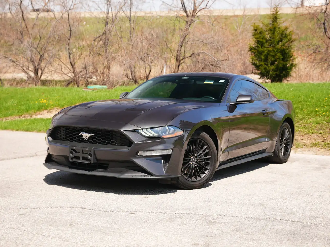 Ford Mustang снимка Ford Mustang