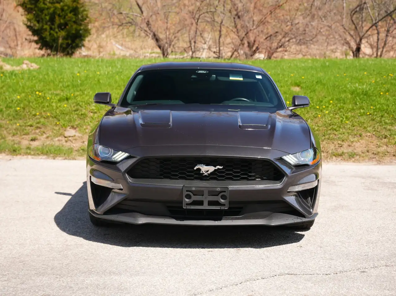 Ford Mustang снимка Ford Mustang