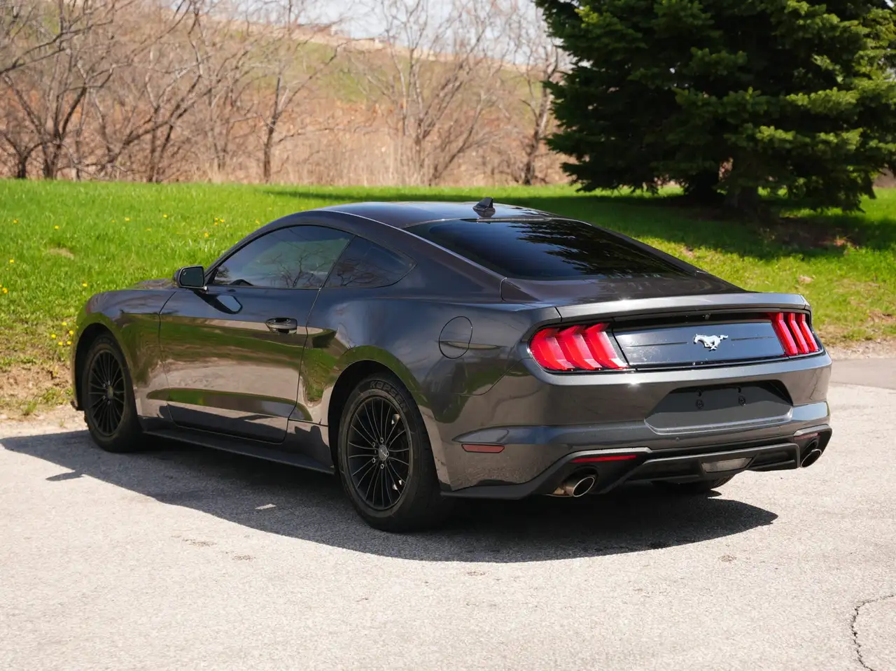 Ford Mustang снимка Ford Mustang