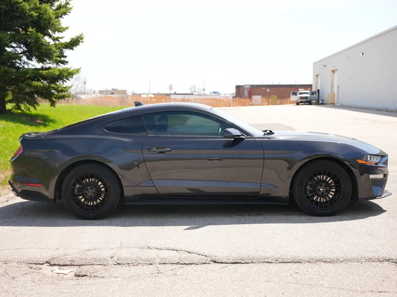 Ford Mustang снимка Ford Mustang
