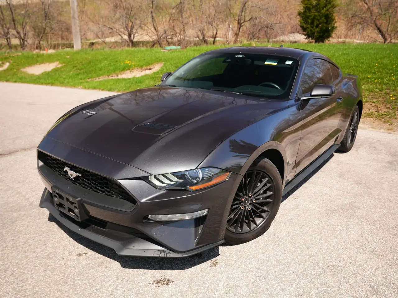 Ford Mustang снимка Ford Mustang