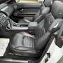 Land Rover Range Rover Evoque Cabriolet HSE Dynamic 2,0 Si4 Aut. Weiß - thumbnail 14