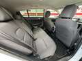 Kia Sportage 1.6 CRDi Drive 4x2 115 Blanc - thumbnail 13