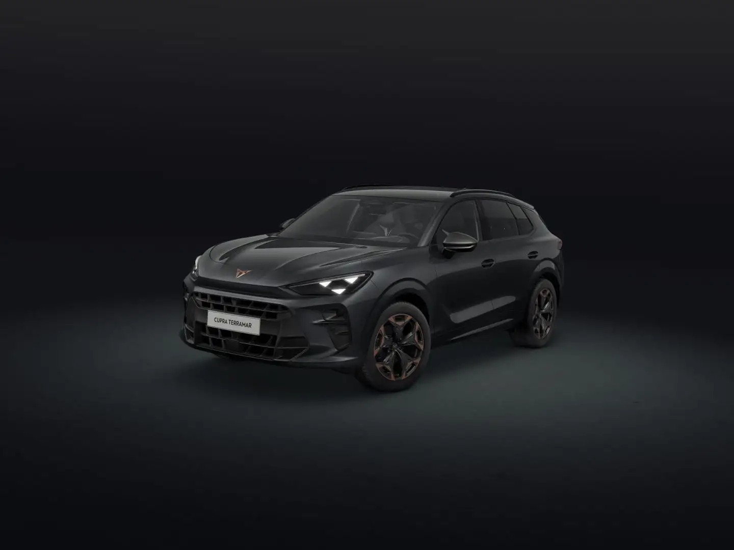 CUPRA Terramar 1.5 eTSI 110 DSG Gris - 1