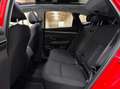 Hyundai TUCSON 1.6 TGDI 48V Tecno Sky 4x2 DT - thumbnail 19