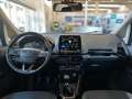 Ford EcoSport 1.0 EcoBoost 125 CV Start&Stop Titanium Argento - thumbnail 12