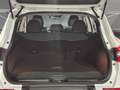 Renault Kadjar 1.7dCi Blue Zen 4x4 110kW Wit - thumbnail 13