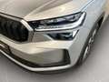 Skoda Kodiaq Selection+DSG+LED+NAVI+AHK Argent - thumbnail 18