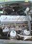 Austin-Healey 3000 mk3. bj8 Baujahr 1967 -racing green - thumbnail 13