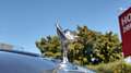 Rolls-Royce Phantom Drophead Coupé Schwarz - thumbnail 22