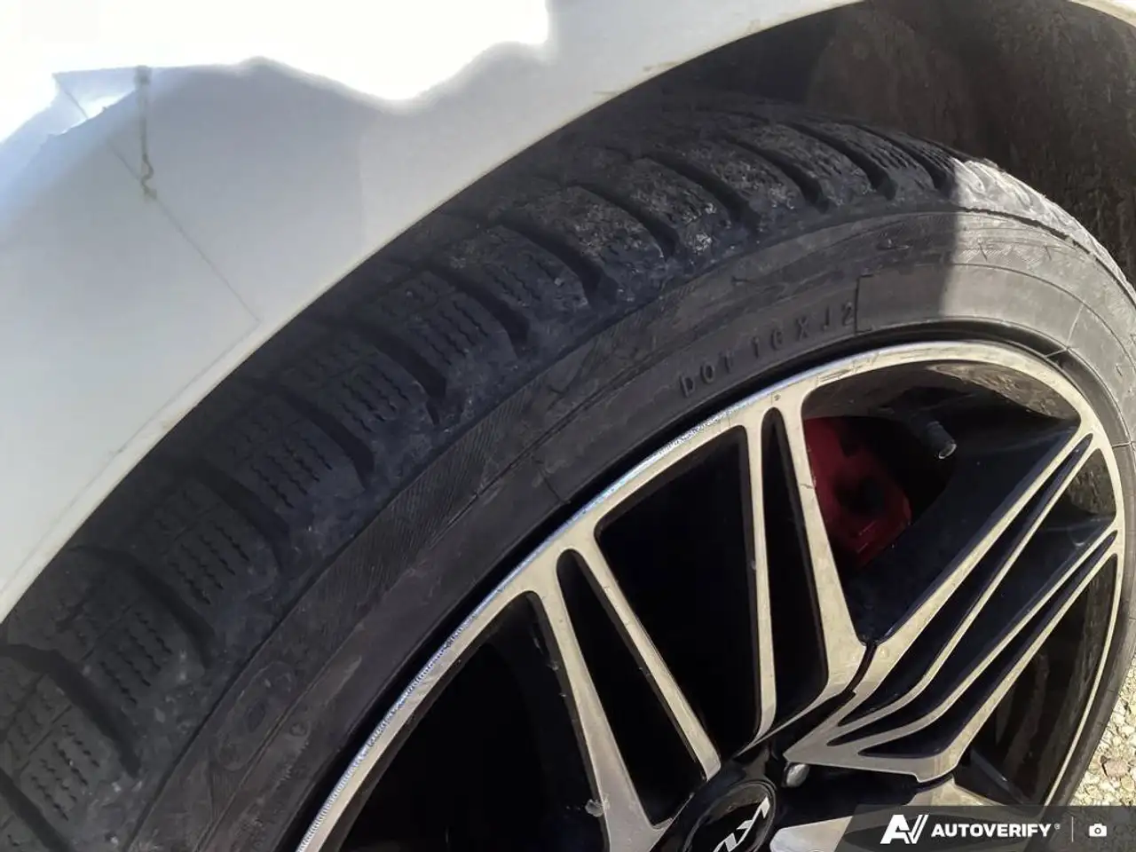 Kia Stinger fotografie Kia Stinger